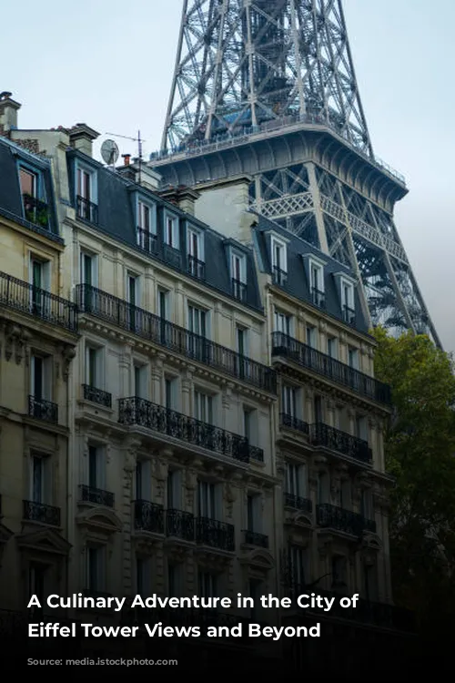 A Culinary Adventure in the City of Lights: Eiffel Tower Views and Beyond