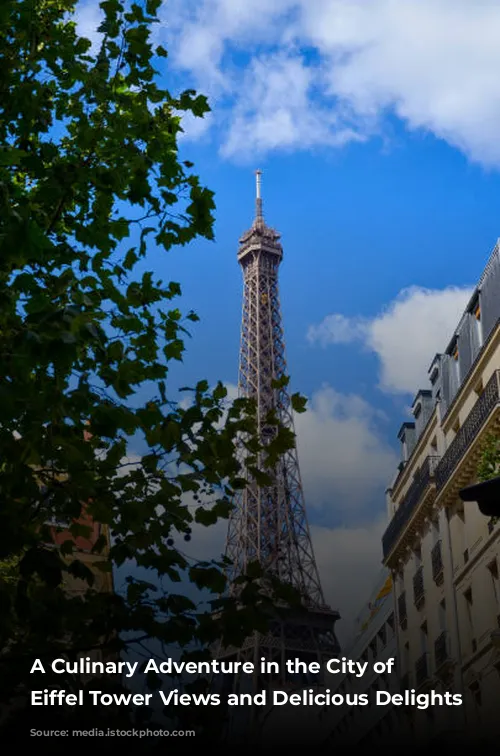 A Culinary Adventure in the City of Lights: Eiffel Tower Views and Delicious Delights