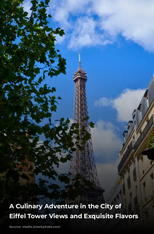 A Culinary Adventure in the City of Lights: Eiffel Tower Views and Exquisite Flavors