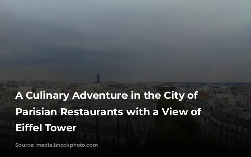 A Culinary Adventure in the City of Lights:  Parisian Restaurants with a View of the Eiffel Tower