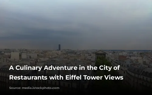 A Culinary Adventure in the City of Lights: Restaurants with Eiffel Tower Views