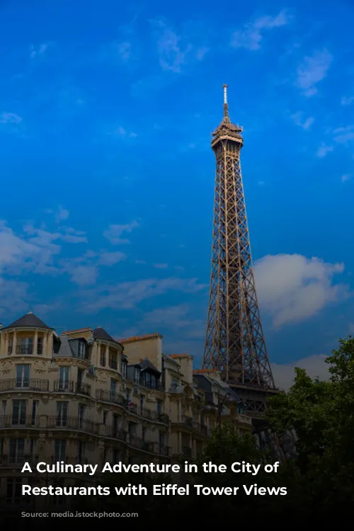 A Culinary Adventure in the City of Lights: Restaurants with Eiffel Tower Views