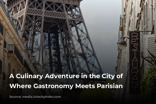 A Culinary Adventure in the City of Lights: Where Gastronomy Meets Parisian Charm