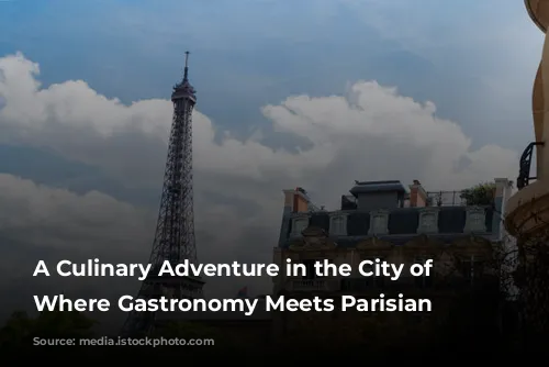 A Culinary Adventure in the City of Lights: Where Gastronomy Meets Parisian Charm