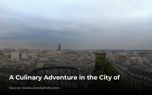 A Culinary Adventure in the City of Lights