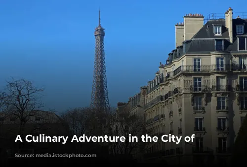 A Culinary Adventure in the City of Lights