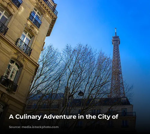 A Culinary Adventure in the City of Lights