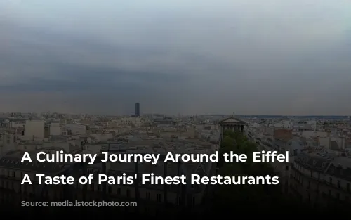 A Culinary Journey Around the Eiffel Tower:  A Taste of Paris' Finest Restaurants