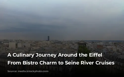 A Culinary Journey Around the Eiffel Tower: From Bistro Charm to Seine River Cruises