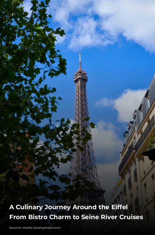 A Culinary Journey Around the Eiffel Tower: From Bistro Charm to Seine River Cruises