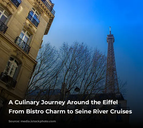 A Culinary Journey Around the Eiffel Tower: From Bistro Charm to Seine River Cruises