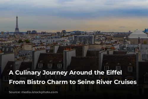 A Culinary Journey Around the Eiffel Tower: From Bistro Charm to Seine River Cruises