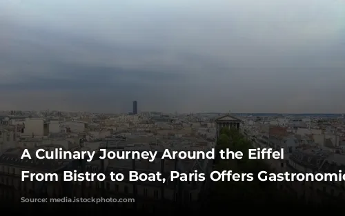 A Culinary Journey Around the Eiffel Tower: From Bistro to Boat, Paris Offers Gastronomic Delights