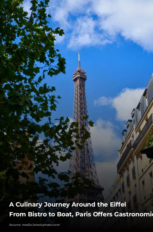 A Culinary Journey Around the Eiffel Tower: From Bistro to Boat, Paris Offers Gastronomic Delights