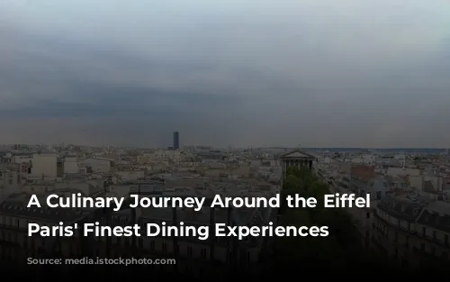 A Culinary Journey Around the Eiffel Tower: Paris' Finest Dining Experiences