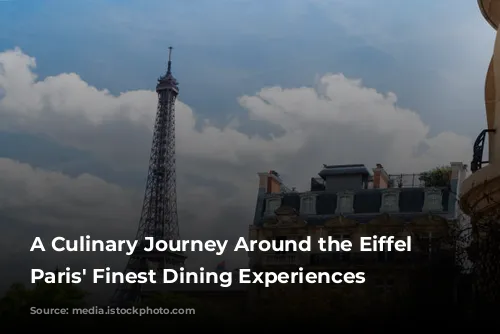 A Culinary Journey Around the Eiffel Tower: Paris' Finest Dining Experiences