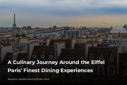 A Culinary Journey Around the Eiffel Tower: Paris' Finest Dining Experiences