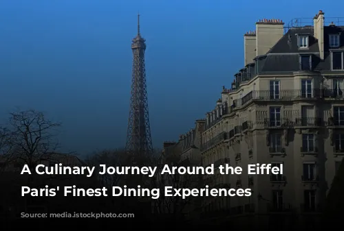 A Culinary Journey Around the Eiffel Tower: Paris' Finest Dining Experiences