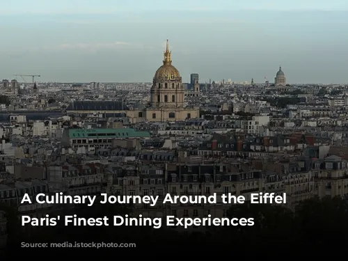 A Culinary Journey Around the Eiffel Tower: Paris' Finest Dining Experiences