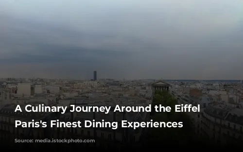 A Culinary Journey Around the Eiffel Tower: Paris's Finest Dining Experiences