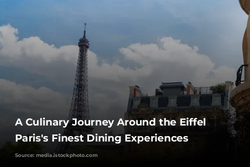 A Culinary Journey Around the Eiffel Tower: Paris's Finest Dining Experiences