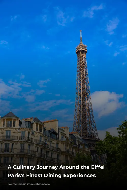 A Culinary Journey Around the Eiffel Tower: Paris's Finest Dining Experiences