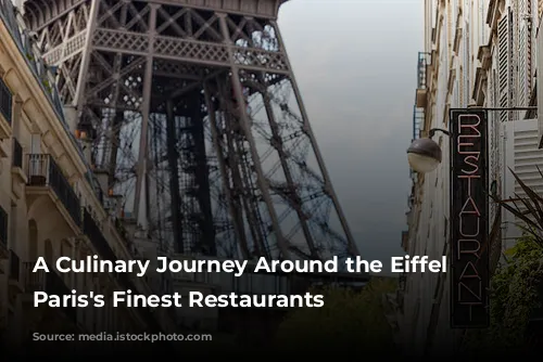 A Culinary Journey Around the Eiffel Tower: Paris's Finest Restaurants