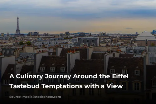 A Culinary Journey Around the Eiffel Tower:  Tastebud Temptations with a View