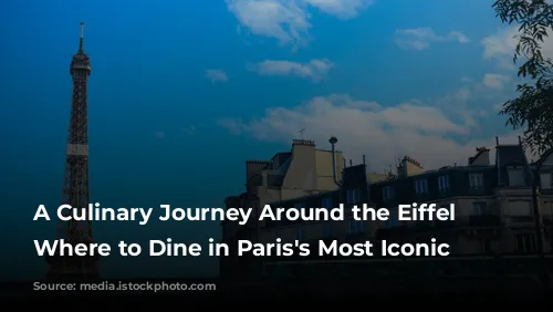 A Culinary Journey Around the Eiffel Tower: Where to Dine in Paris's Most Iconic Neighborhood