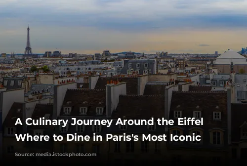 A Culinary Journey Around the Eiffel Tower: Where to Dine in Paris's Most Iconic Neighborhood