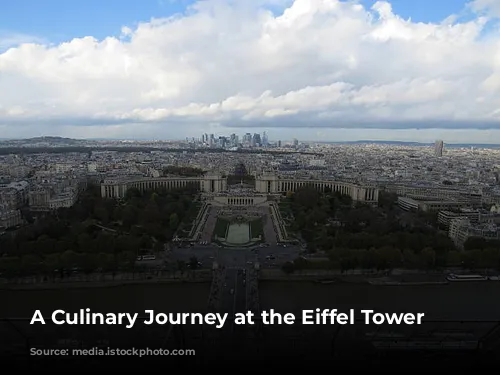 A Culinary Journey at the Eiffel Tower