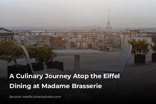 A Culinary Journey Atop the Eiffel Tower: Dining at Madame Brasserie