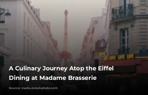 A Culinary Journey Atop the Eiffel Tower: Dining at Madame Brasserie