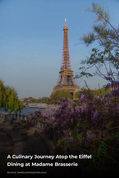 A Culinary Journey Atop the Eiffel Tower: Dining at Madame Brasserie