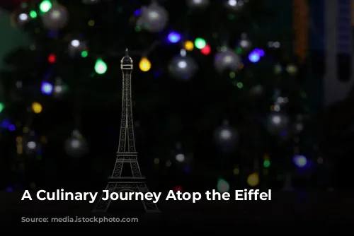 A Culinary Journey Atop the Eiffel Tower