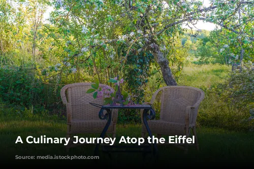 A Culinary Journey Atop the Eiffel Tower