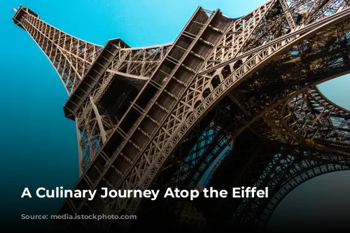 A Culinary Journey Atop the Eiffel Tower