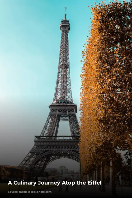 A Culinary Journey Atop the Eiffel Tower