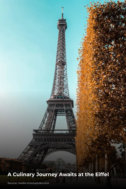 A Culinary Journey Awaits at the Eiffel Tower