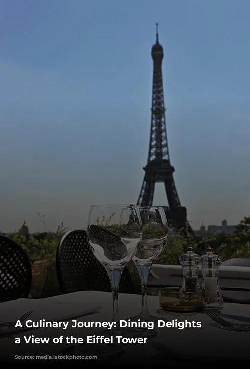 A Culinary Journey: Dining Delights with a View of the Eiffel Tower