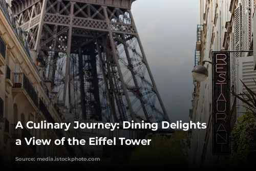 A Culinary Journey: Dining Delights with a View of the Eiffel Tower