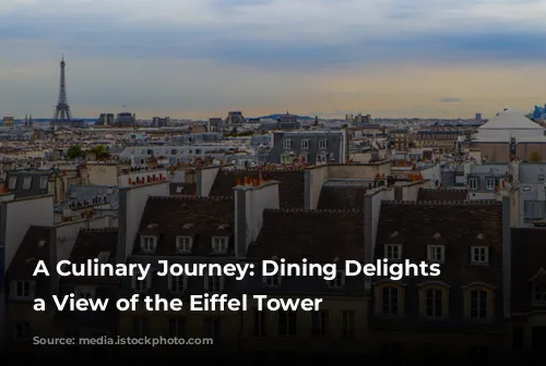 A Culinary Journey: Dining Delights with a View of the Eiffel Tower