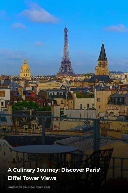 A Culinary Journey: Discover Paris' Best Eiffel Tower Views