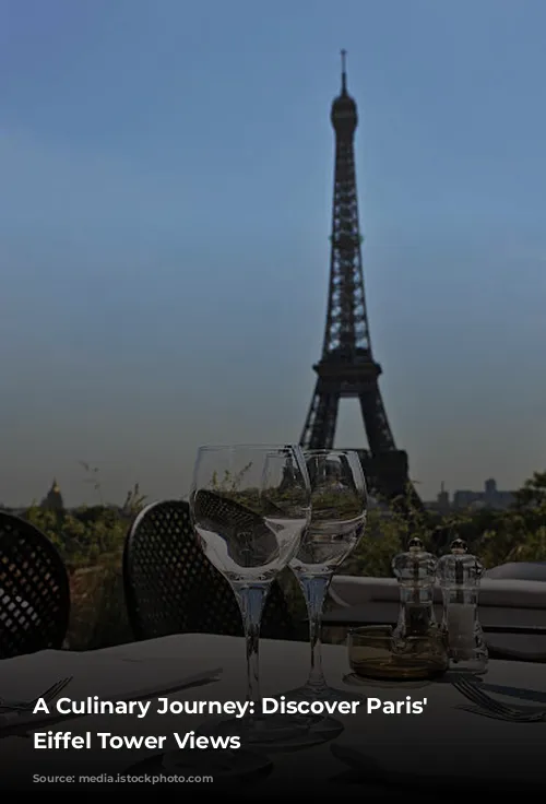 A Culinary Journey: Discover Paris' Best Eiffel Tower Views