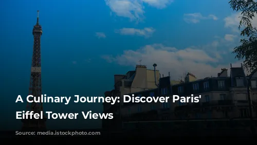 A Culinary Journey: Discover Paris' Best Eiffel Tower Views