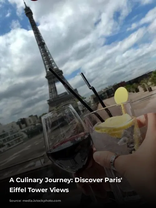 A Culinary Journey: Discover Paris' Best Eiffel Tower Views