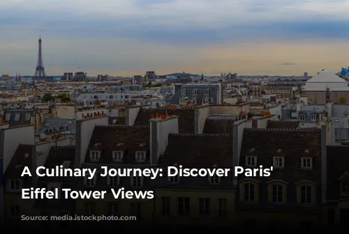 A Culinary Journey: Discover Paris' Best Eiffel Tower Views