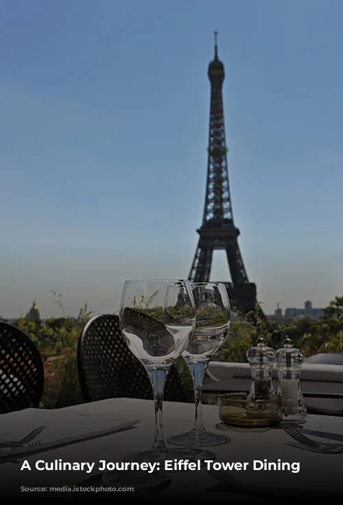 A Culinary Journey: Eiffel Tower Dining Experiences