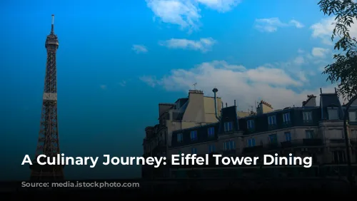 A Culinary Journey: Eiffel Tower Dining Experiences