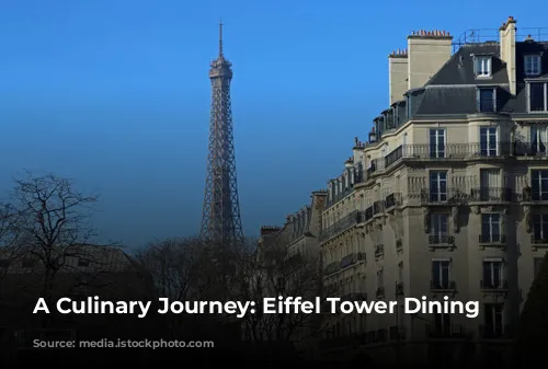 A Culinary Journey: Eiffel Tower Dining Experiences